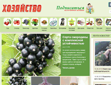 Tablet Screenshot of hozvo.ru